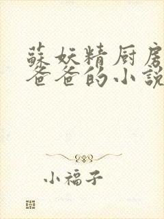 苏妖精厨房爹爹爸爸的小说