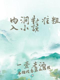 肉洞对准粗大坐入小说