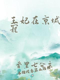 王妃在京城当团宠