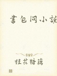 书包网小说