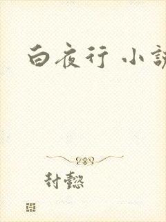 白夜行 小说