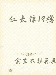 红太狼19楼