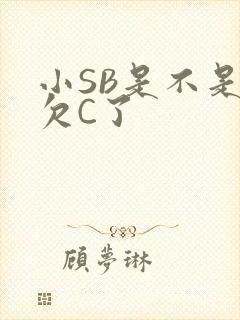 小SB是不是又欠C了