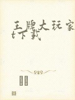 王牌大玩家txt下载