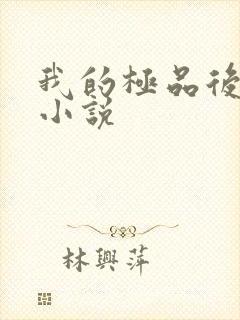 我的极品后宫 小说