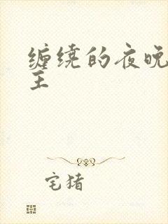 缠绕的夜晚双男主