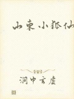 山东小狐仙