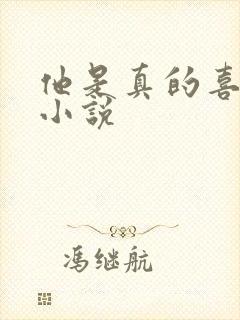 他是真的喜欢你小说