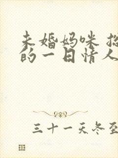 未婚妈咪 总裁的一日情人