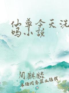 仙尊今天洗白了吗小说