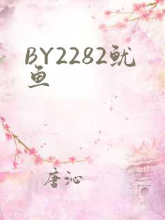 BY2282鱿鱼
