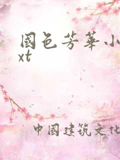 国色芳华小说txt