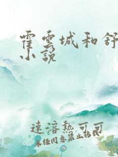 霍云城和舒情的小说