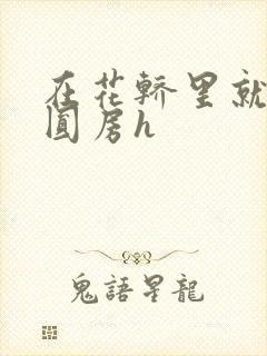 在花轿里就开始圆房h