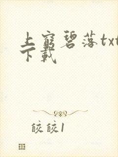 上穷碧落txt下载