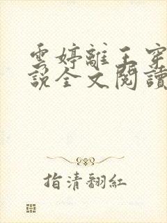 云婷离王穿越小说全文阅读