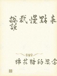 总裁慢点来 小说