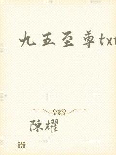 九五至尊txt