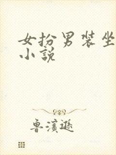 女扮男装坐江山小说