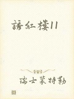 诱红楼11