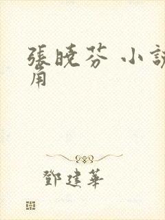 张晓芬 小说主角