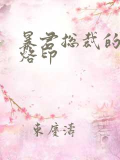 暴君总裁的狂烈烙印