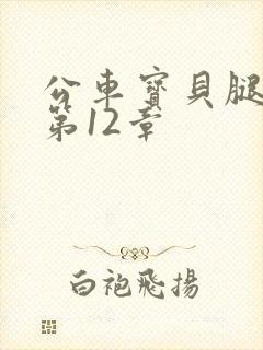 公车宝贝腿开点第12章