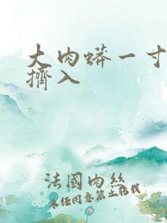 大肉蟒一寸一寸挤入