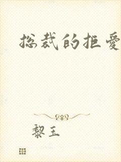 总裁的拒爱前妻