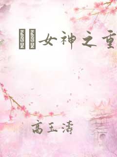 鹡鸰女神之重生