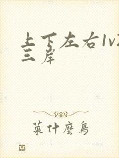 上下左右1v2三岸