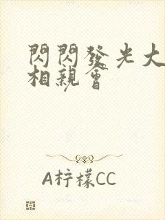 闪闪发光大团圆相亲会