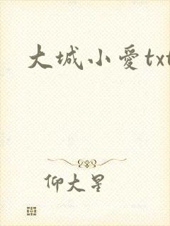 大城小爱txt