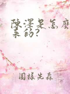 陈泽是怎么火起来的?