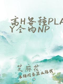 高H各种PLAY全肉NP