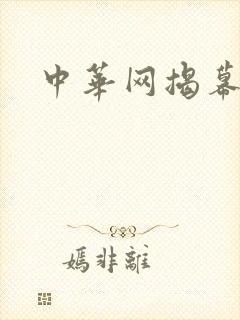 中华网揭幕内参