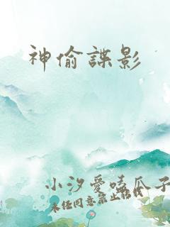 神偷谍影