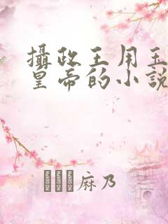 摄政王用玉髓整皇帝的小说