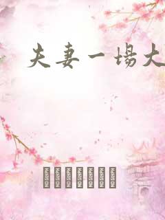 夫妻一场大结局