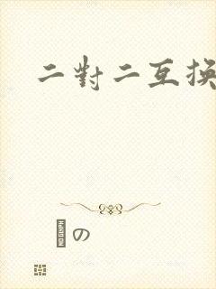 二对二互换共享