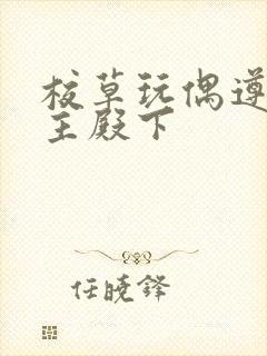 校草玩偶遵命公主殿下