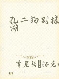 孔二狗别样的江湖