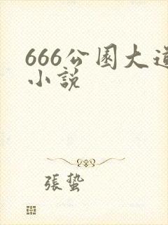 666公园大道小说