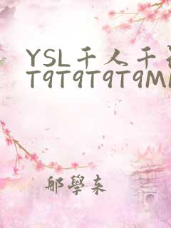 YSL千人千色T9T9T9T9MMD