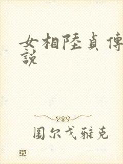 女相陆贞传奇小说
