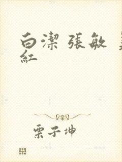 白洁 张敏 美红