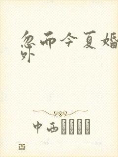 忽而今夏婚后番外