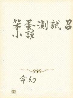 笨蛋测试召唤兽小说