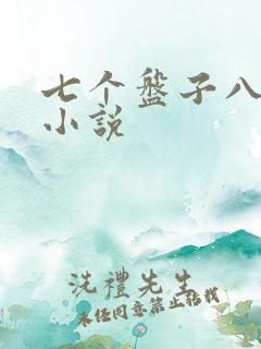 七个盘子八个碗小说