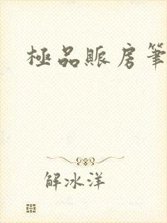 极品账房笔趣阁